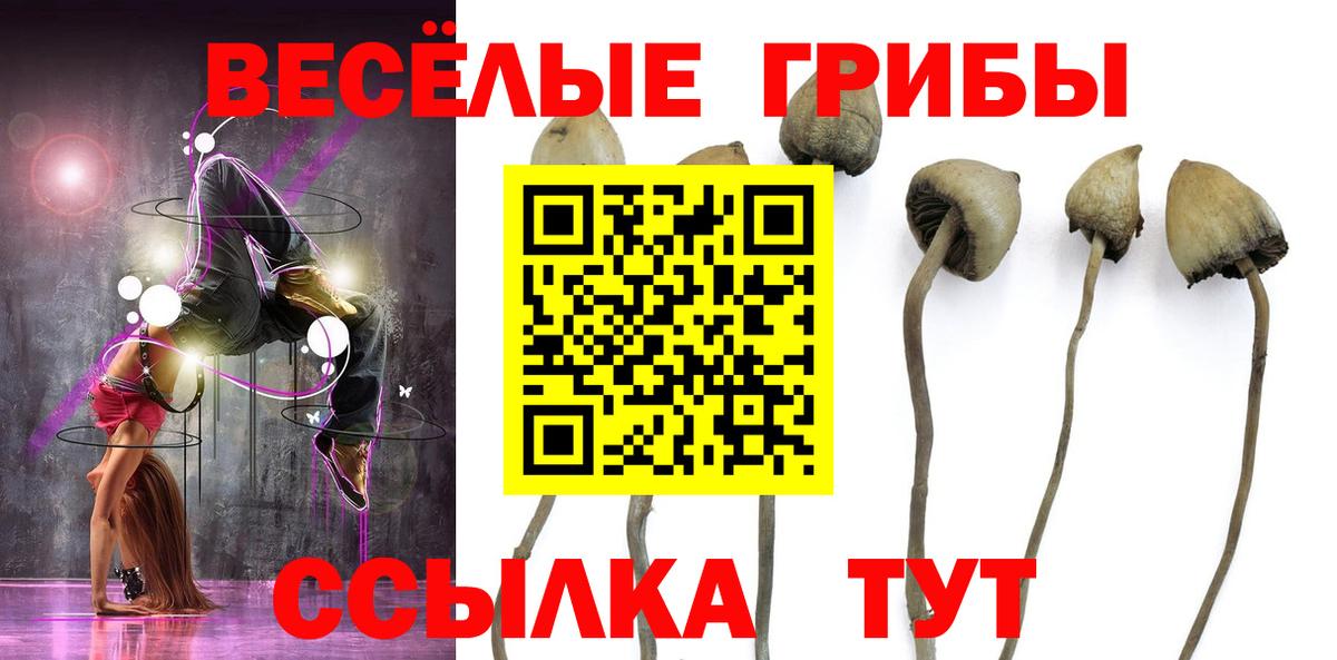 Галлюциногенные грибы GOLDEN TEACHER Зима