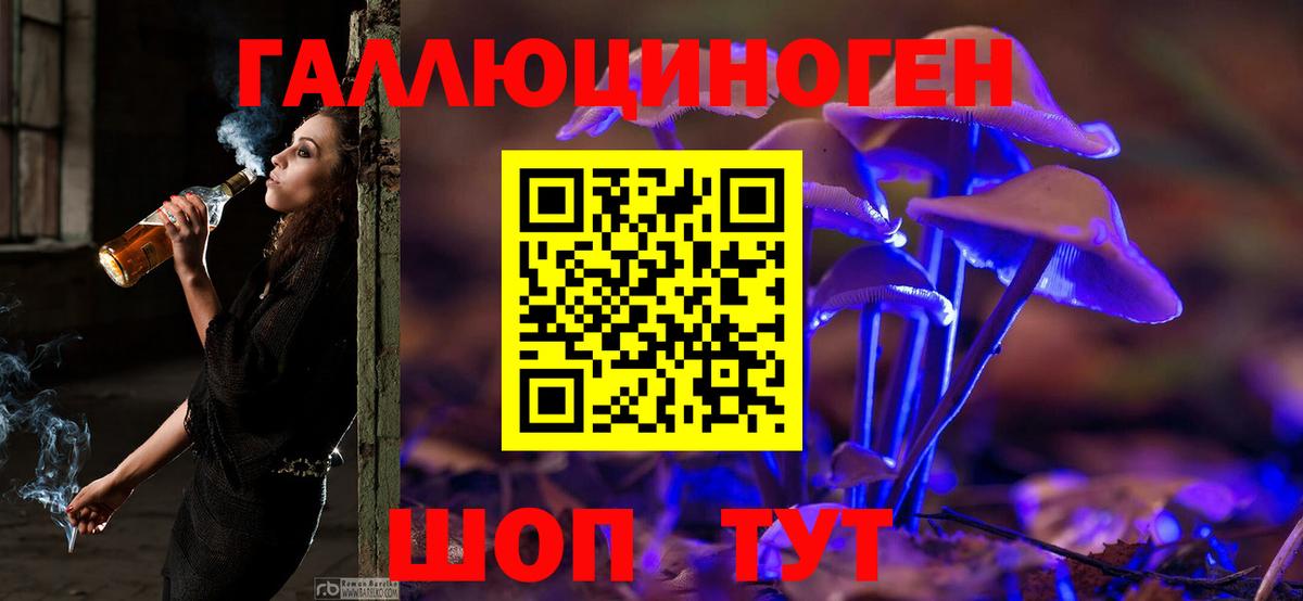 купить наркоту  Вход с VPN  Псилоцибиновые грибы ЛСД  Зима  Галлюциногенные грибы мицелий 